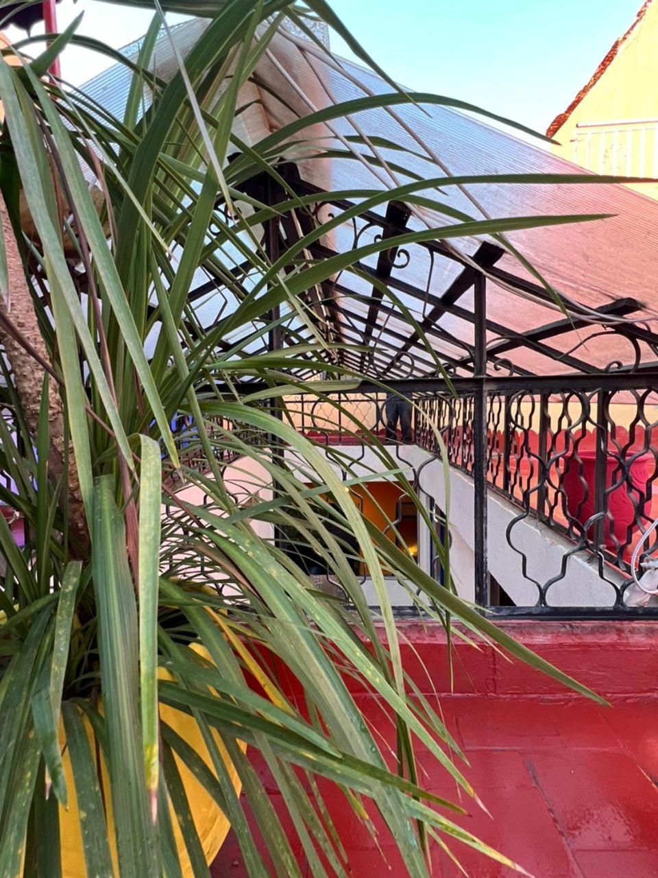 Riad Oyoune 라바트 외부 사진